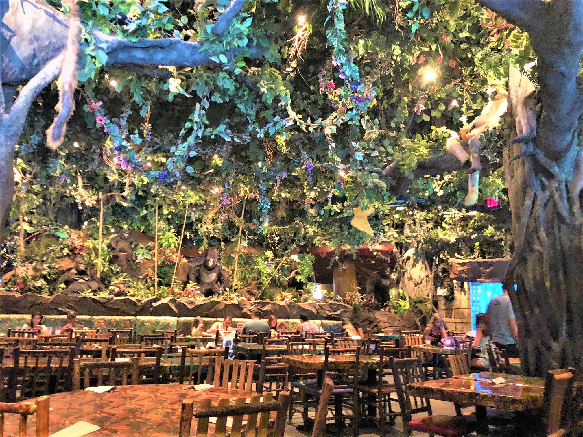 Dining at Rainforest Cafe with Kids - 5 Suitcases