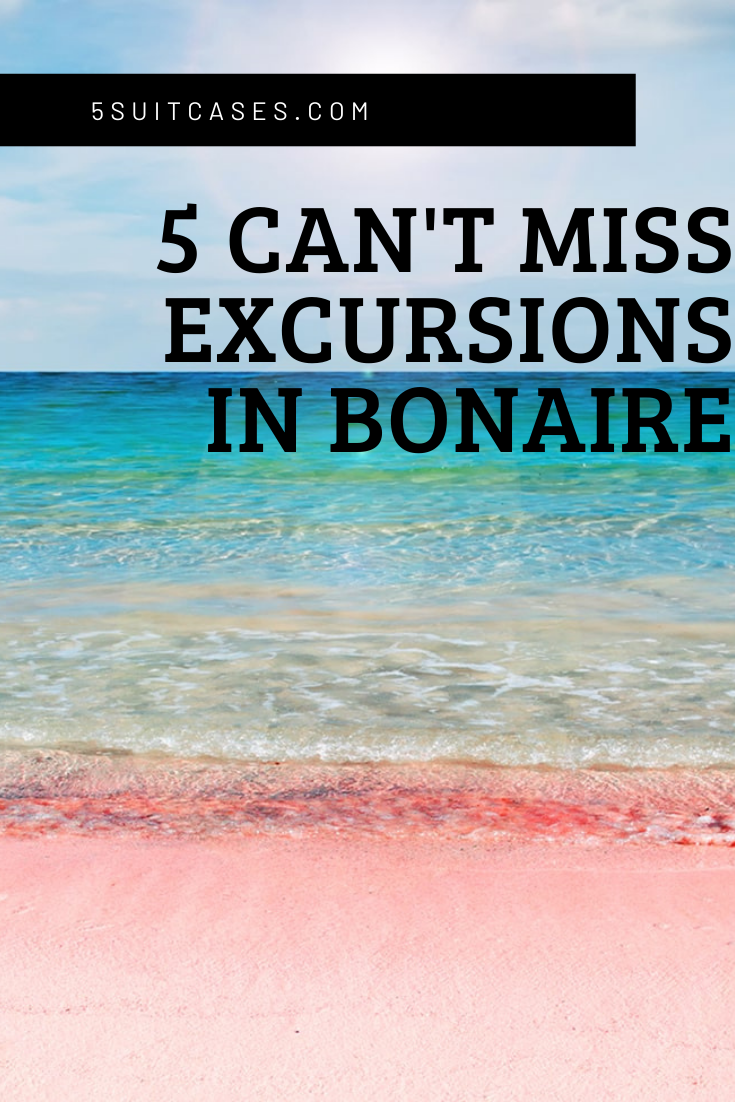 5 Amazing Airbnbs In Bonaire - 5 Suitcases